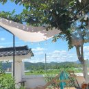 맘인더가든 이미지