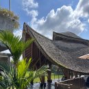 건강 요가-A | [발리] 우붓에서는 요가 필수 / 아비세나 우붓 모닝 요가 하고 건강한 조식 먹기 / 우붓 아비세나...