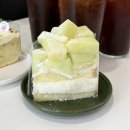 개땡큐 | 대전 대흥동 디저트 카페 추천! 케이크 맛집 땡큐베리머치｜멜론밀크·피스타치오치즈 내돈내산 후기