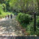 남파랑길 8코스(상리마을~진해드림로길입구)250705 이미지