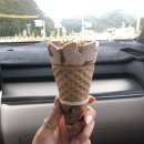 곽골약수펜션 | 양구 고향의 봄 자연 속 힐링 펜션 숙박업소 추천