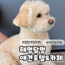 해멍달멍 | 인천서구애견카페 해멍달멍 애견호텔&amp;애견놀이방&amp;애견카페