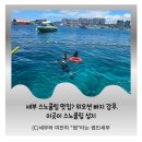 세부스노쿨링맛집 위오션 빠지에서 스노쿨링도 하고 정어리떼도 보고