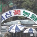 석산농원