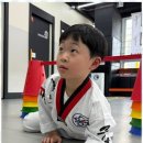 무궁화 태권도장 세종본관 이미지