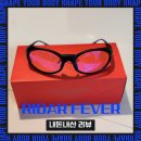 내돈내산 리뷰 라이다 선글라스 RIDAR FEVER 솔직 후기