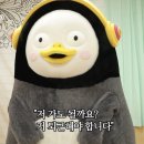 푸쉬푸쉬(합성점) | 공주 공산성 여행 및 평택국제시장 구경한 후기, 미스진햄버거 먹음!