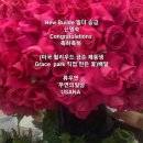 (주)뉴빌 네이버블로그