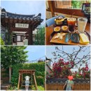 전주 신상 카페 추천 고즈넉한 분위기 좋은 [향옥찻집 한옥마을점] 전통 찻집 디저트 맛집