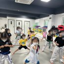 경희대 최강 태권도 이미지