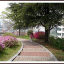 조선대학교병원 이미지