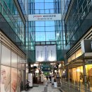 모티뷰 헤어 | 평촌역미용실 추천 모티뷰헤어 남자 다운펌 후기, 유진 실장님