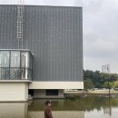 들꽃나라 | 10월 가을 아이랑 갈 만 한 곳, 올림픽공원 들꽃마루 주차, 위치, 코스모스, 소마미술관 조각공원 투어...