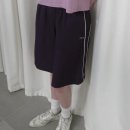 파이카