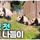 뚱땅 이미지