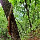 산곡믿음 이미지