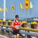 충무공동38 | 2025 제64회 경남도민체육대회(진주) 로드10k(5.4.) 후기
