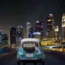 타로카드상담 이미지