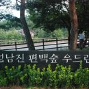 정남진편백 티스토리
