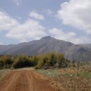 파래스모텔 이미지