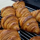 파파블랑쉐(PAPA BOULANGER)