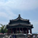 황실오리 | 🇨🇳 노랑풍선 북경 패키지여행 1일차, 황실 정원부터 베이징덕까지