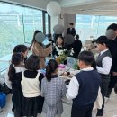 가재울뮤직트리음악학원 | 더뮤직트리음악학원, 이혜빈바이올린클래스 정기...음악학원 연주회 대관 후기 | 부산공연장대관 음악...