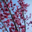 관동농장 이미지