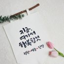 감성을 쓰다 캘리그라퍼 이미지