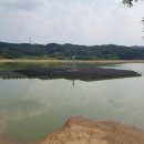 금광태양광발전소 이미지