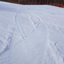 알프하우스 이미지