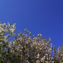 경정장후문 이미지