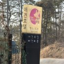 펫앤스토리 이미지