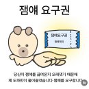 미라농원 | [2025] 조금 더 곁에 남아주길 바라는 가을