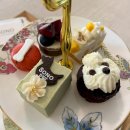 소노캄 고양 이미지