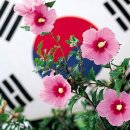 샤론 이미지
