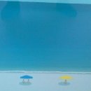 THE SPRING 이미지