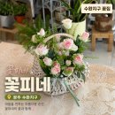 피네 - 아산시 청운로 117-1 | 광주 수완동 꽃집 꽃피네 꽃바구니 구입 후기, 선물하기 좋은 꽃집 추천