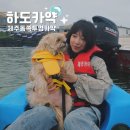 제주 동쪽 액티비티 투명카약 체험추천 하도카약