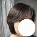 하르 | 맥주효모샴푸 셀프 데일리 탈모케어 후기 | 글랜젠데스 하르 비어샴푸