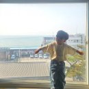 🏨 대부도숙소 추천 | 아이와 함께한 오션뷰 호텔, 대부도마리나관광호텔 솔직 후기