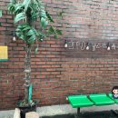 김피디게스트하우스 이미지