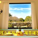 더포레스트하소로 | 제주도 애월 팬션추천 더포레스트하소로 제주애견동반숙소 애월의 반려견 동반 숙소