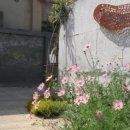 일월산장모텔 이미지