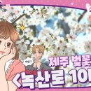 초보도 가능한 미리캔버스 활용 이미지