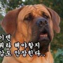 없음 이미지