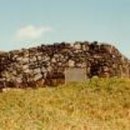 협자연대 이미지