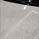 엠렌트카 이미지