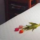 바디벨르 이미지