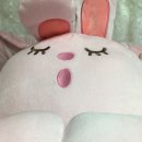 뚱시 이미지